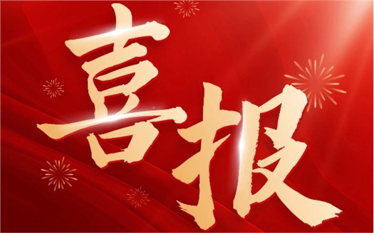 集團榮膺2025中國民營企業(yè)500強第249位，制造業(yè)民營企業(yè)500強第177位，排名較去年雙雙大幅提升