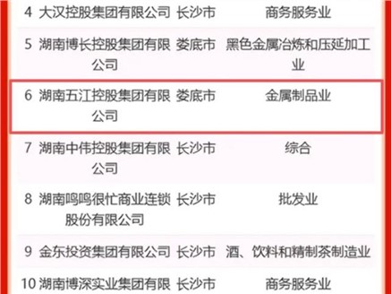 集團(tuán)榮獲2025“三湘民企百?gòu)?qiáng)榜”第6名